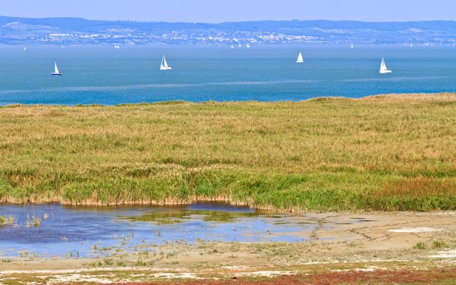 Zeilen op het Neusiedler meer